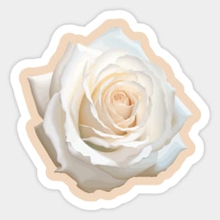 Pretty White Rose Floral Art Cut Out Sticker